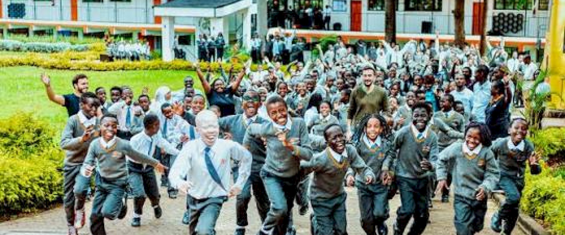 School of life