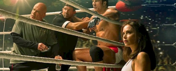 The smashing machine
